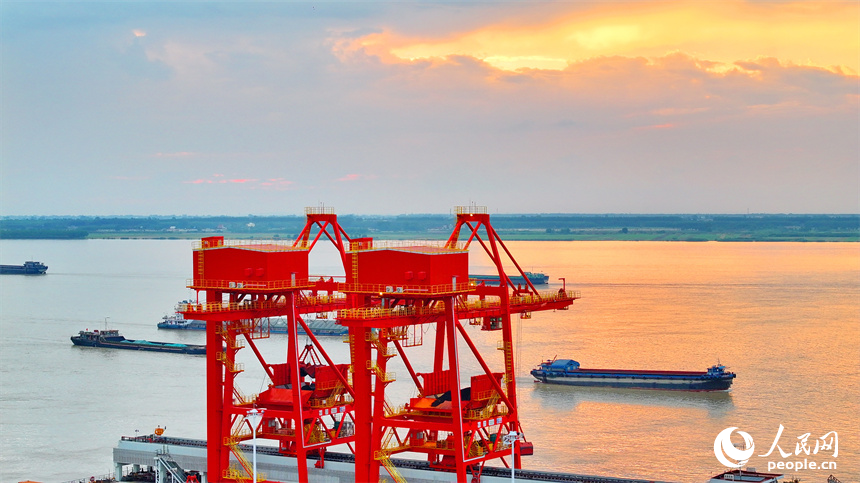 橋吊機臂林立，電煤卸船有序推進，一船船電煤經傳輸帶運至發電廠發電。人民網 朱海鵬攝