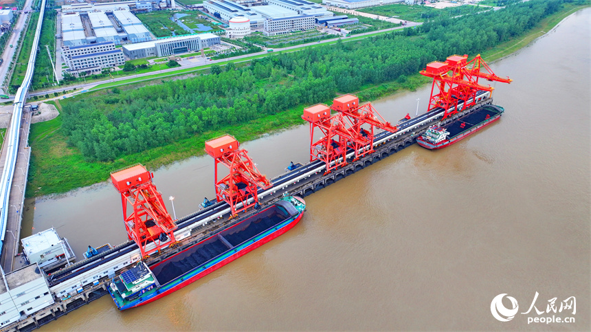 橋吊機臂林立，電煤卸船有序推進，一船船電煤經傳輸帶運至發電廠發電。人民網 朱海鵬攝