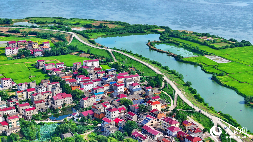 豐城市小港鎮南岸村一帶，鱗次櫛比的紅瓦頂農房與綠色田園、藍天白云相映成景。人民網 朱海鵬攝