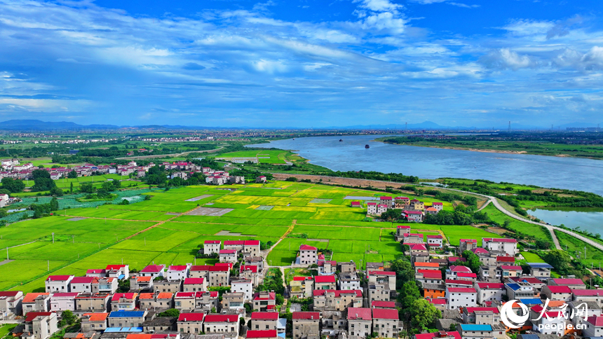 豐城市小港鎮南岸村一帶，鱗次櫛比的紅瓦頂農房與綠色田園、藍天白云相映成景。人民網 朱海鵬攝