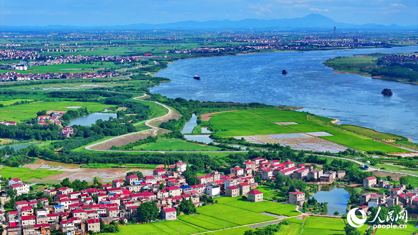 豐城市小港鎮南岸村一帶，鱗次櫛比的紅瓦頂農房與綠色田園、藍天白云相映成景。人民網 朱海鵬攝