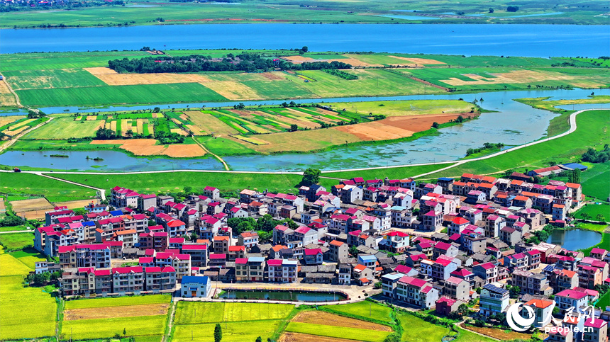 豐城市拖船鎮蛟湖村，錯落分布的房屋與河流、綠樹、農田相映成景。人民網 朱海鵬攝