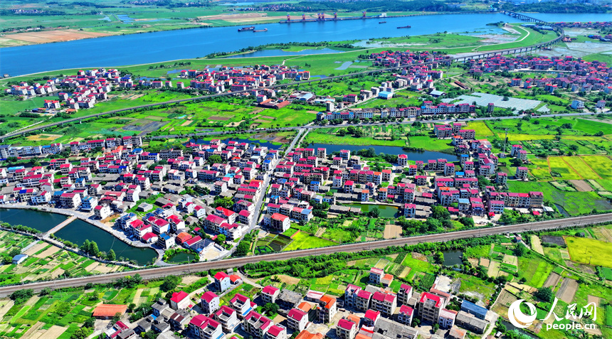 豐城市拖船鎮蛟湖村，錯落分布的房屋與河流、綠樹、農田相映成景。人民網 朱海鵬攝