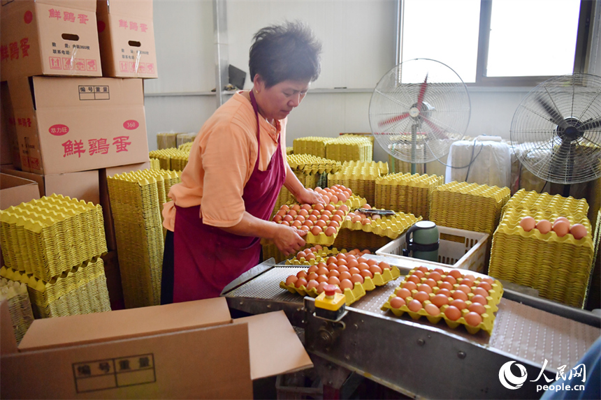 經過分揀后，村民將雞蛋裝箱打包。人民網記者 時雨攝