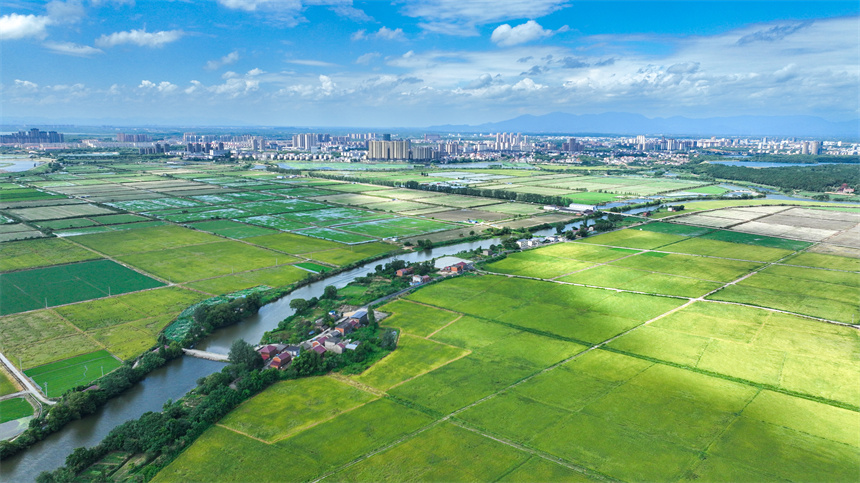 江西省共青城市金湖鄉五合村美景如畫。潘成攝