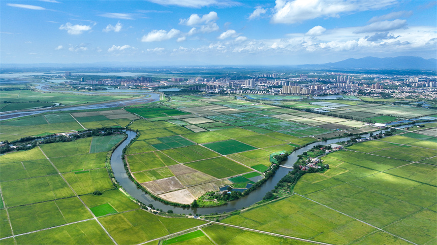 江西省共青城市金湖鄉五合村美景如畫。潘成攝