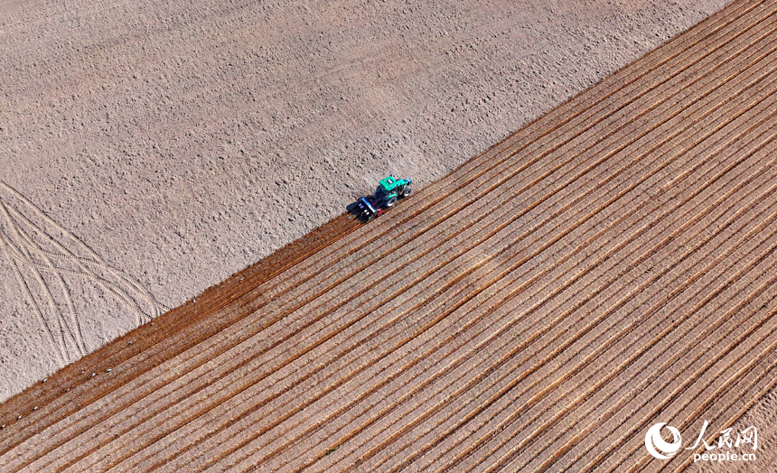 九江市永修縣涂埠鎮南洲村，合作社農機手在播種玉米。人民網 朱海鵬攝
