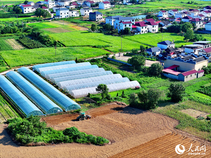 九江市永修縣涂埠鎮南洲村，合作社農機手在播種玉米。人民網 朱海鵬攝