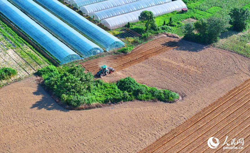 九江市永修縣涂埠鎮南洲村，合作社農機手在播種玉米。人民網 朱海鵬攝