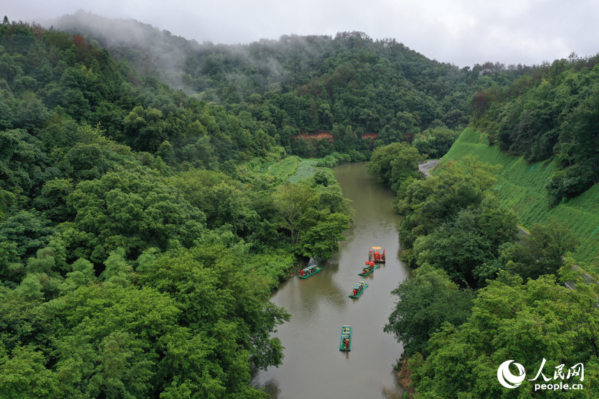 廣昌縣楊溪鄉撫河源的河道里游客們乘坐竹筏，享受盛夏里的清涼和愜意。人民網記者 時雨攝