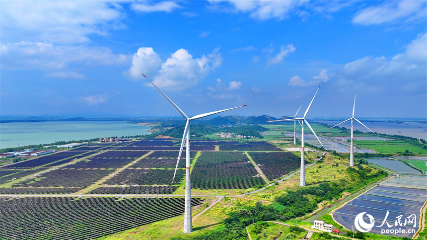 九江市彭澤縣帽子山風光電站，連片的光伏發電板與風力發電機組相得益彰，源源不斷地輸送清潔能源。人民網 朱海鵬攝