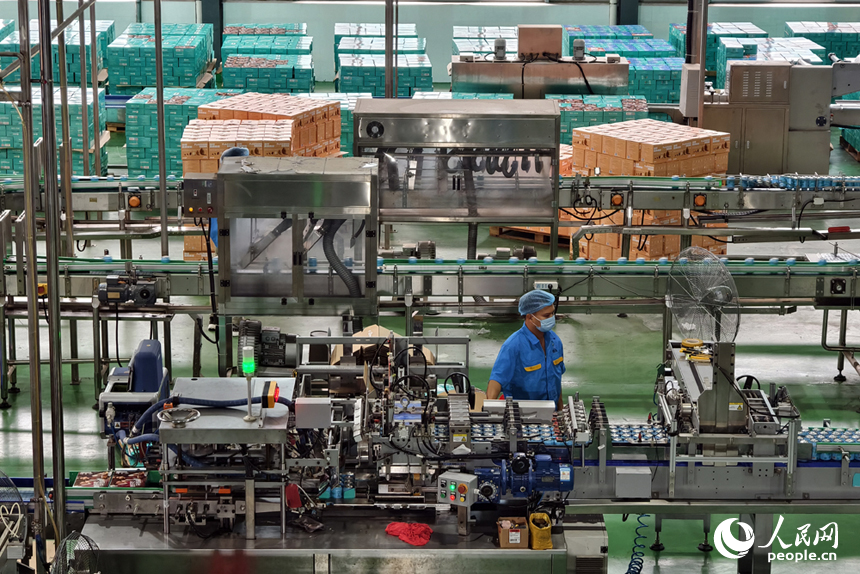 在廣昌縣一家白蓮深加工企業內，工人們正在車間作業。人民網記者 時雨攝