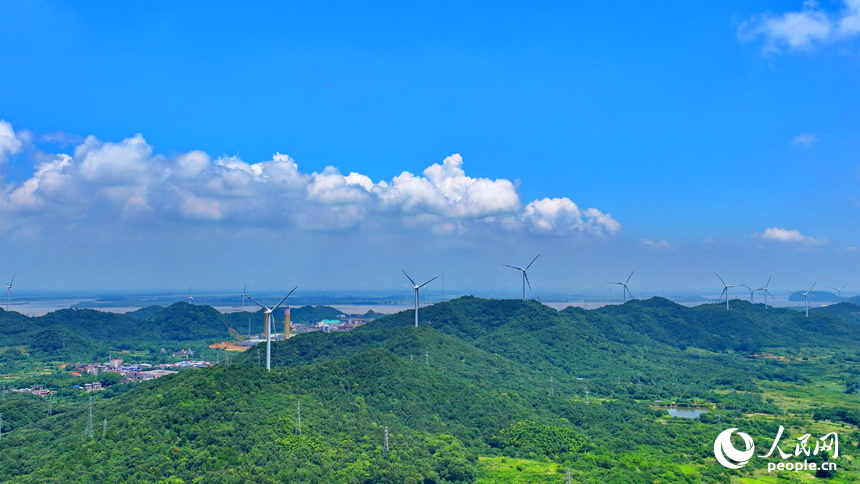 位于九江市彭澤縣的中廣核彭澤泉山風力發電項目風電場，風葉迎風旋轉，轉化成清潔電能輸入電網。人民網 朱海鵬攝