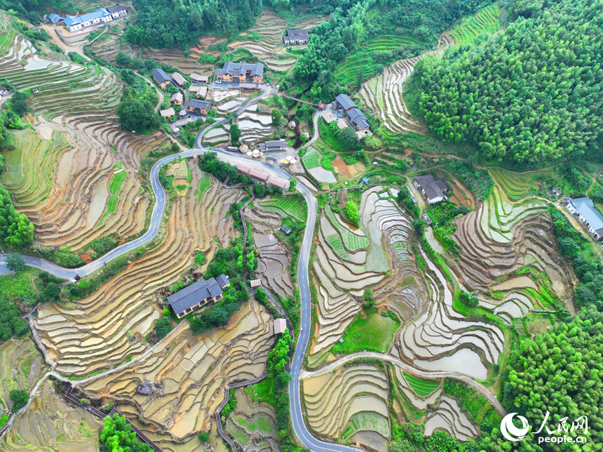 贛州市崇義縣上堡鄉上堡梯田，層層疊疊的梯田與漫山竹木、錯落民居、蜿蜒公路相互映襯。人民網 朱海鵬攝