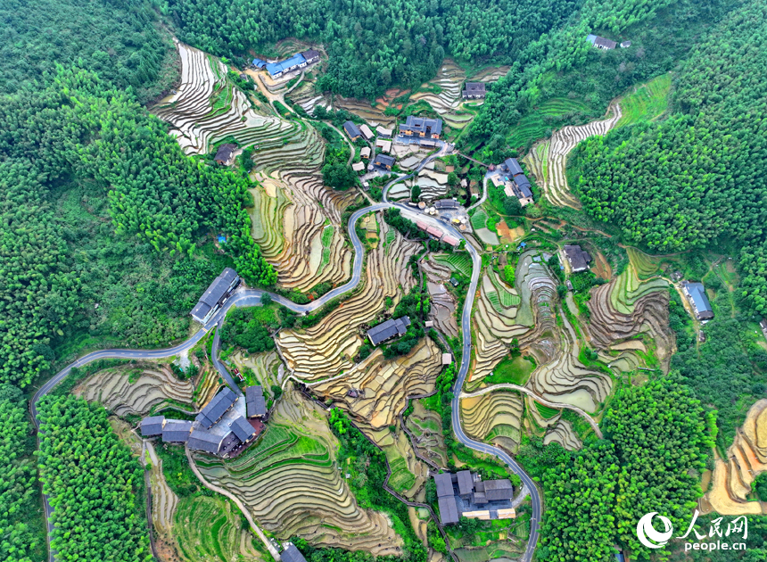 贛州市崇義縣上堡鄉上堡梯田，層層疊疊的梯田與漫山竹木、錯落民居、蜿蜒公路相互映襯。人民網 朱海鵬攝