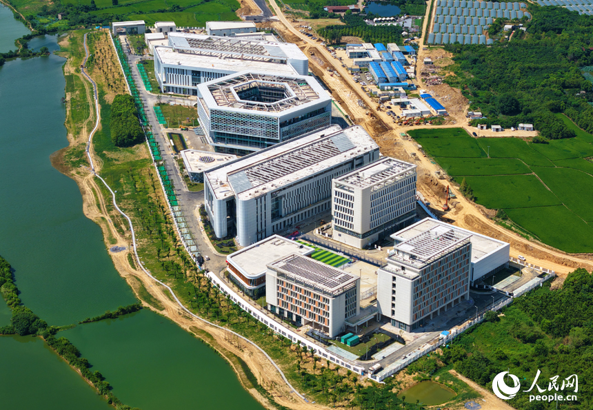 南昌瑤湖科學島一期項目——南昌實驗室建設現場，項目整體形象已初步顯現。人民網記者 毛思遠攝