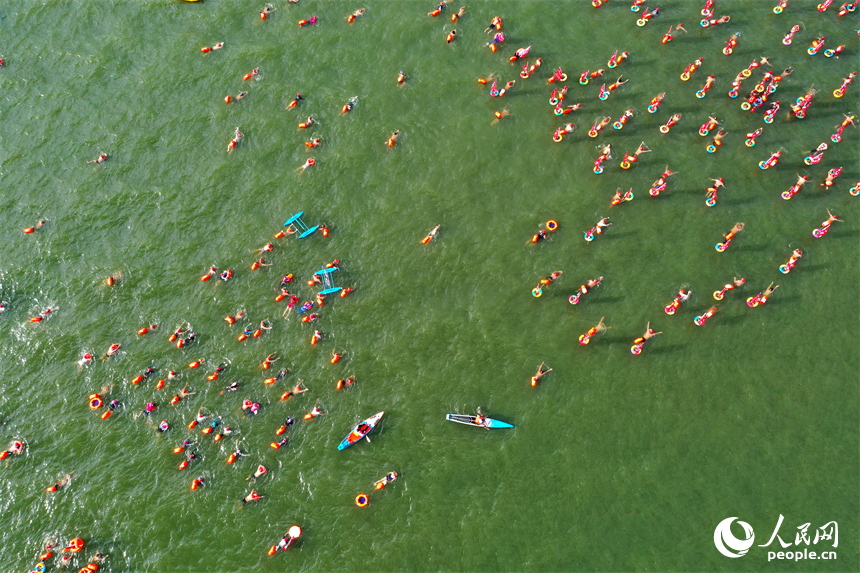 游泳愛好者在贛江中劈波斬浪，享受游泳運動的快樂。人民網記者 時雨攝