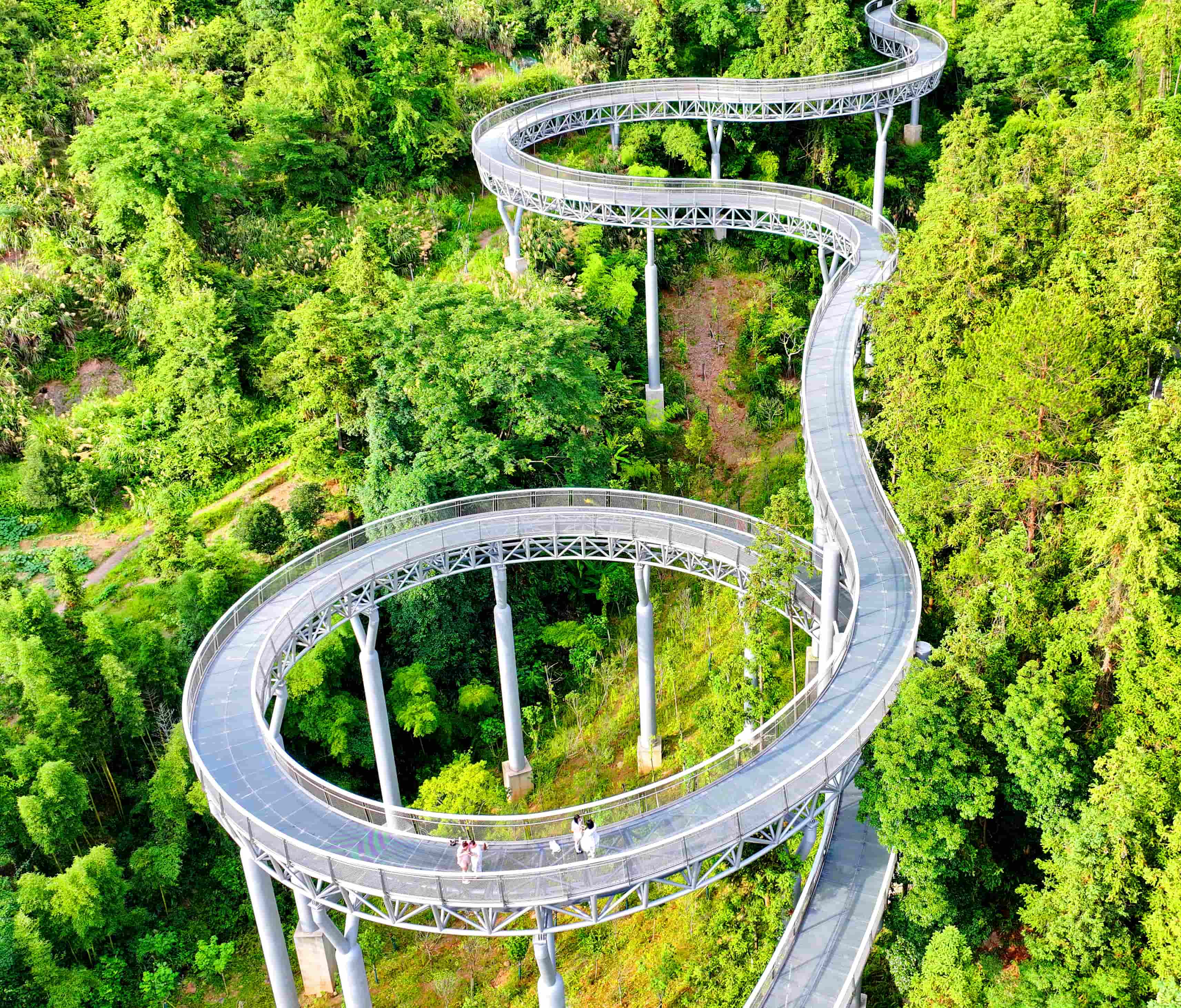 贛州市崇義縣城市森林空間，游客在鋼格柵棧道上散步游玩，觀賞綠色森林美景。人民網 朱海鵬攝