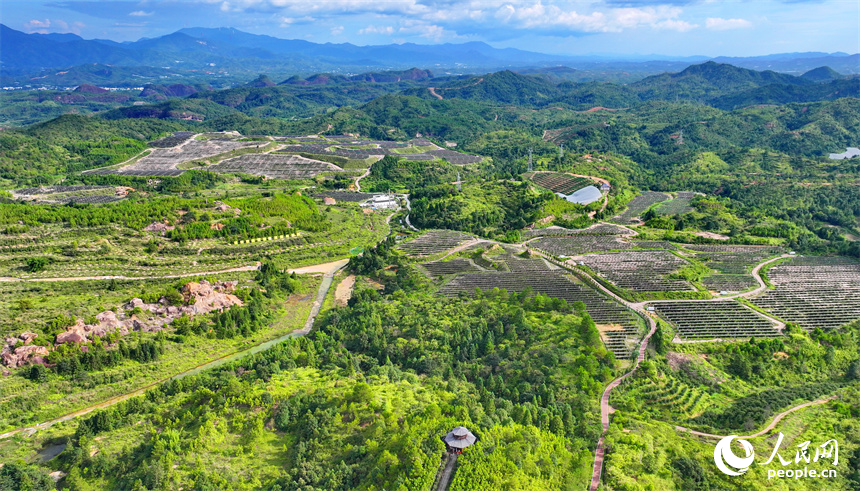 贛州市尋烏縣文峰鄉柯樹塘廢棄礦山，連片的光伏發電設施與群峰、林田、花果、湖草交相輝映。人民網 朱海鵬攝