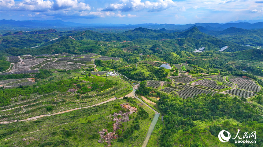 贛州市尋烏縣文峰鄉柯樹塘廢棄礦山，連片的光伏發電設施與群峰、林田、花果、湖草交相輝映。人民網 朱海鵬攝