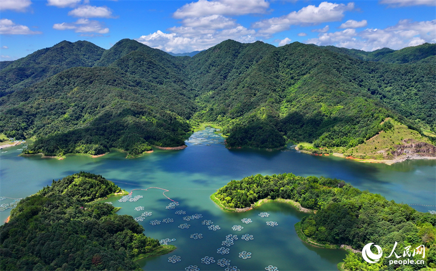 贛州市尋烏縣三標鄉的東江源水庫，種植菖蒲、黃花鶯尾等凈水植物的生態浮床如同花瓣漂浮在水面。人民網 朱海鵬攝