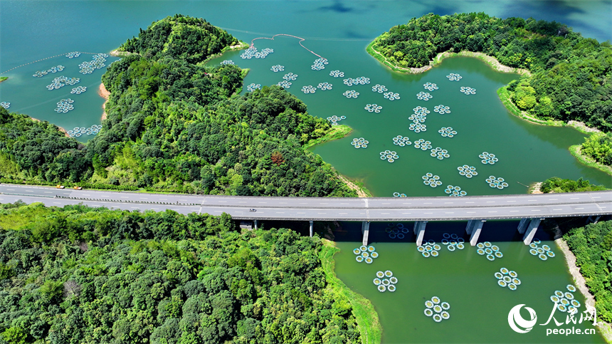 贛州市尋烏縣三標鄉東江源村，尋全高速車輛穿村而過，群山碧水與藍天白云相映襯，構成一幅水清岸綠景美的生態畫卷。人民網 朱海鵬攝