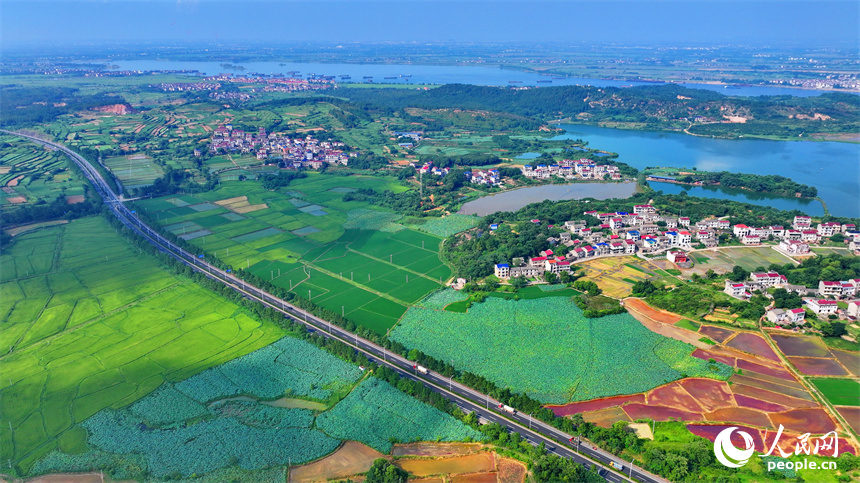 豐城市同田鄉，豐厚一級公路穿村而過，公路沿線的農房、田園、河流、樹木相互映襯，夏景如畫。人民網 朱海鵬攝