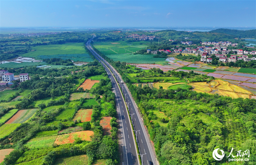豐城市同田鄉，豐厚一級公路穿村而過，公路沿線的農房、田園、河流、樹木相互映襯，夏景如畫。人民網 朱海鵬攝