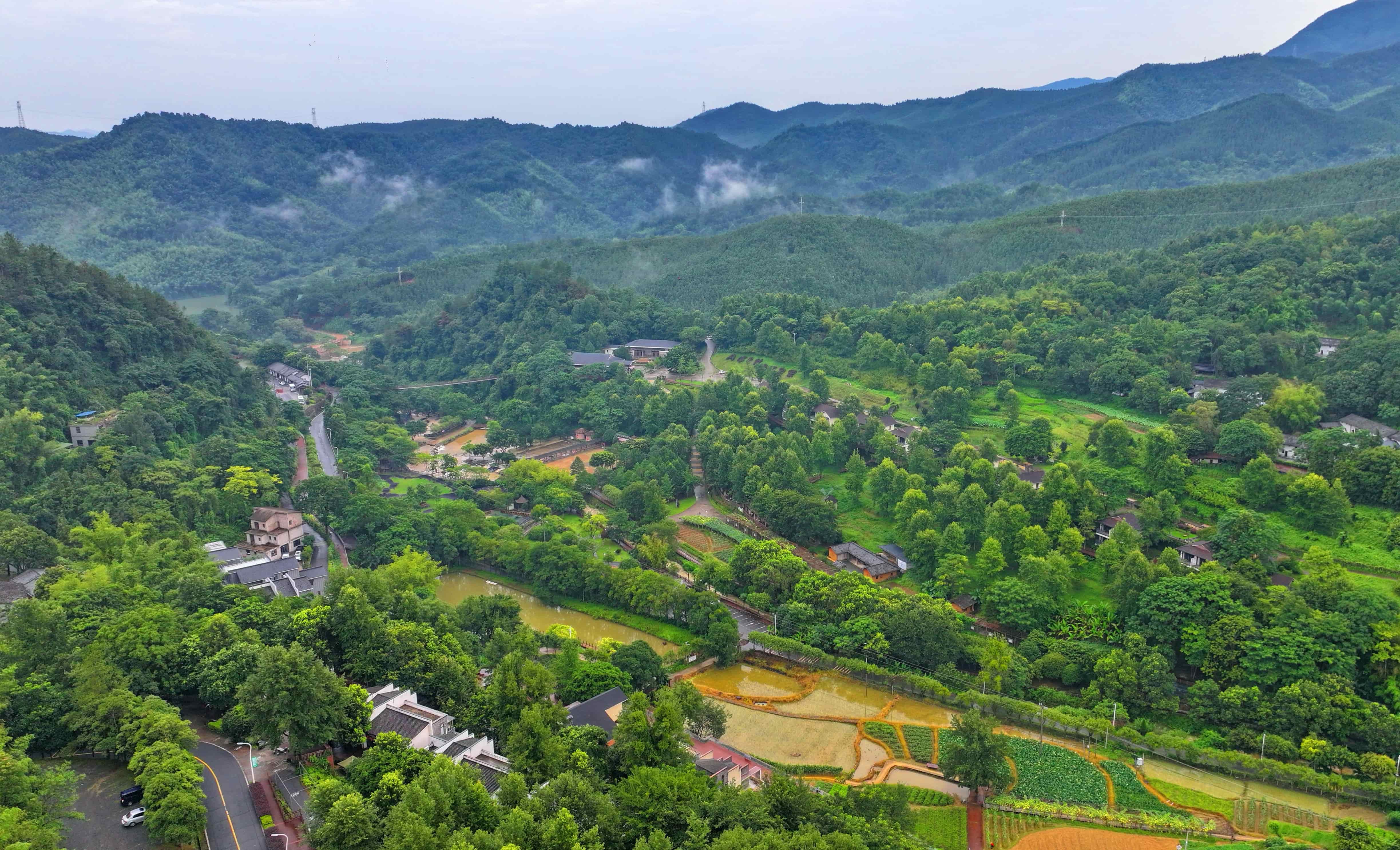 贛州市大余縣黃龍鎮大龍村丫山，通村公路沿線綠樹成蔭、民宿林立，許多游客驅車前來游玩。人民網 朱海鵬攝