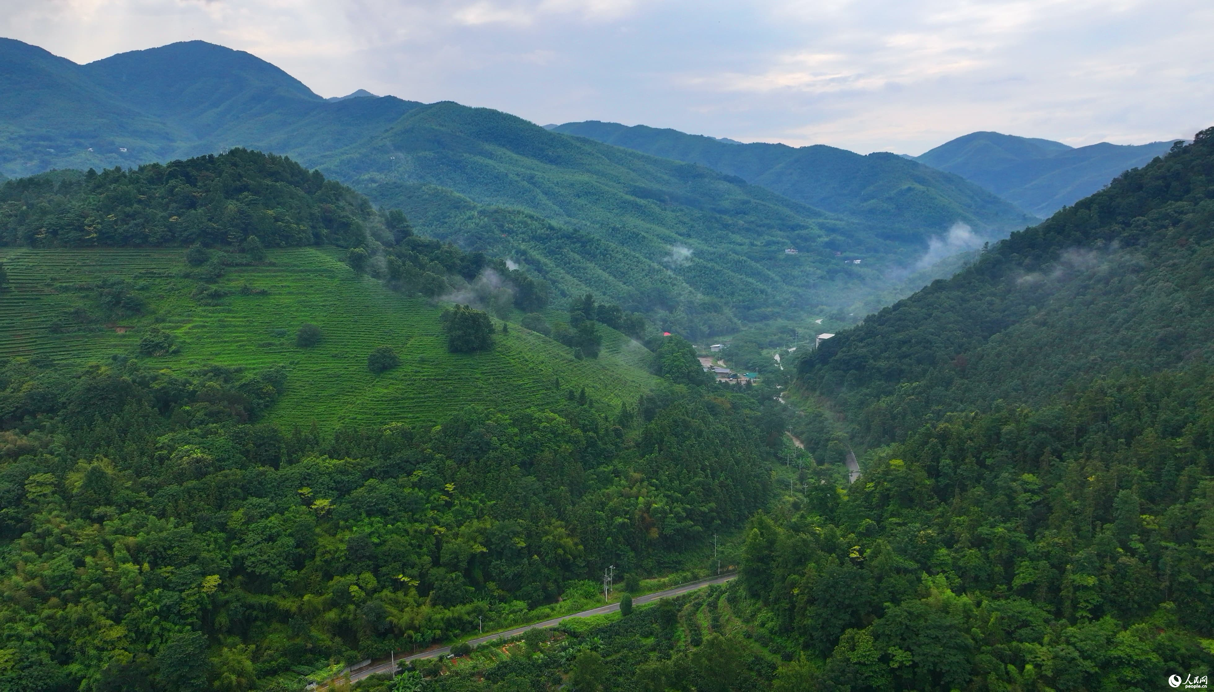 贛州市大余縣黃龍鎮大龍村丫山，通村公路沿線綠樹成蔭、民宿林立，許多游客驅車前來游玩。人民網 朱海鵬攝