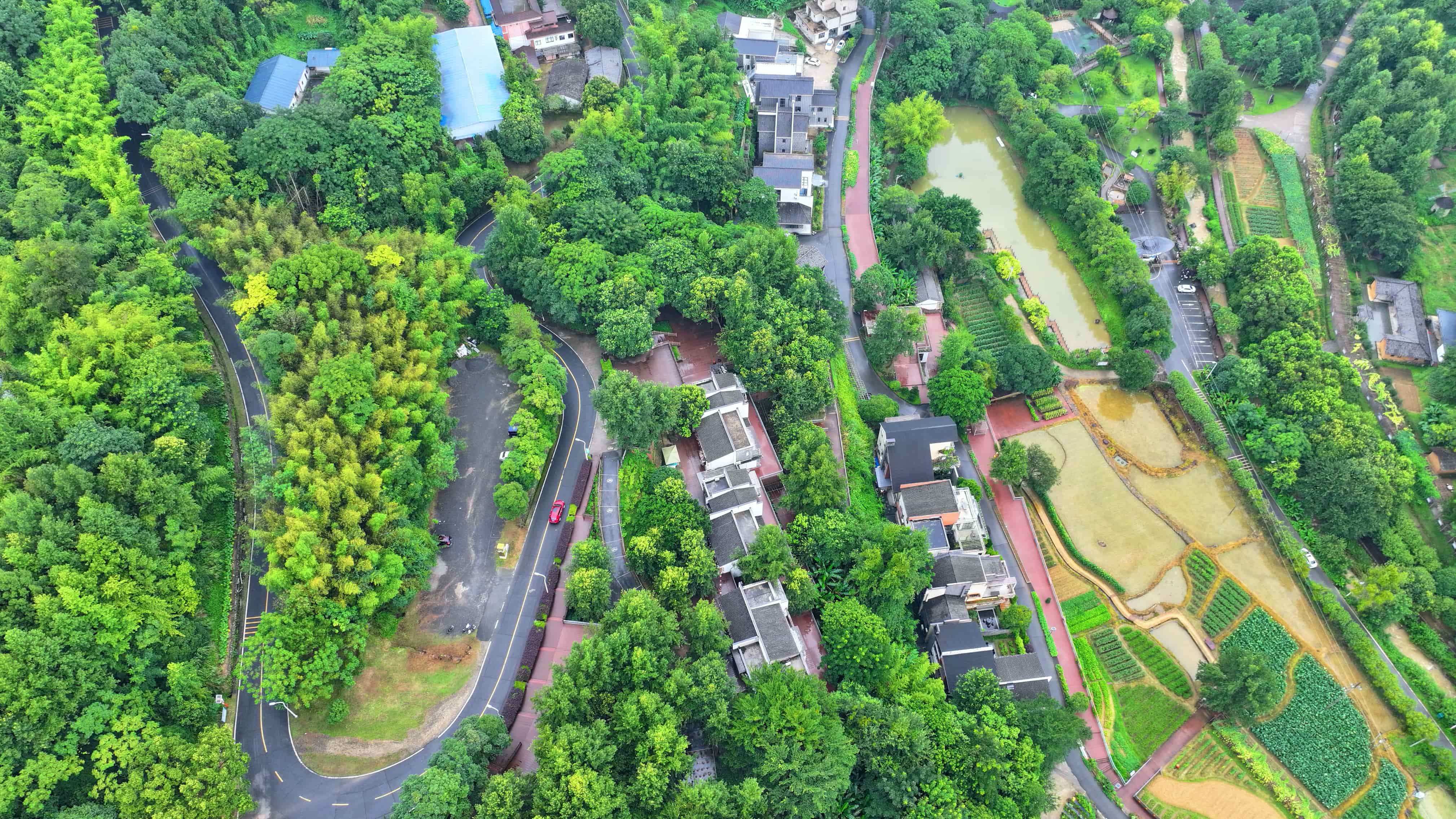 贛州市大余縣黃龍鎮大龍村丫山，通村公路沿線綠樹成蔭、民宿林立，許多游客驅車前來游玩。人民網 朱海鵬攝