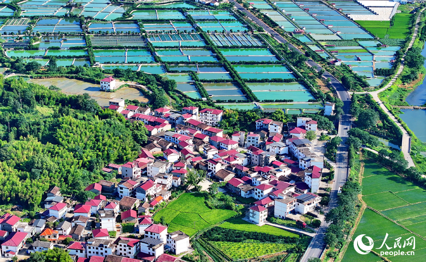撫州市南豐縣太和鎮丹陽村，公路沿線的水產養殖塘星羅棋布、色彩斑斕，與周邊農房、稻田、青山交相輝映。人民網 朱海鵬攝