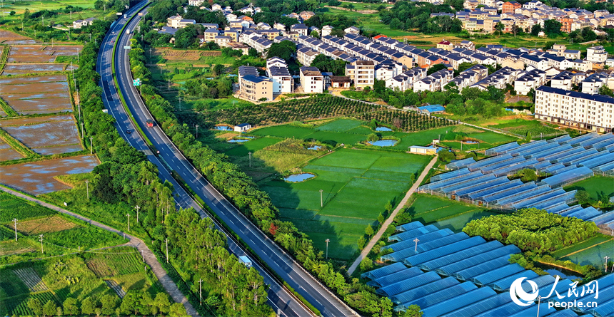 瑞金市黃柏鄉柏村村的果蔬專業合作社，整齊排列的鋼架薄膜大棚與村莊房屋、綠樹群山相互映襯。人民網 朱海鵬攝