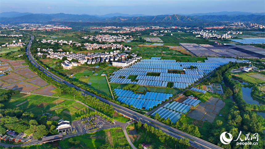 瑞金市黃柏鄉柏村村的果蔬專業合作社，整齊排列的鋼架薄膜大棚與村莊房屋、綠樹群山相互映襯。人民網 朱海鵬攝