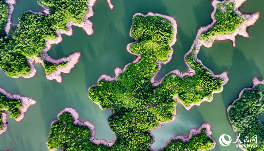 瑞金市日東鄉日東水庫，星羅棋布的小島與碧水、藍天相映成景，構成一幅秀美的生態畫卷。人民網 朱海鵬攝