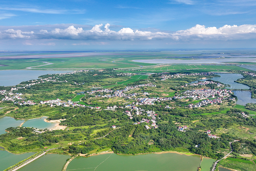 江西共青城市，廣袤的農村大地上一片綠意盎然，山清水秀，呈現出一派生機勃勃的景象。潘成攝