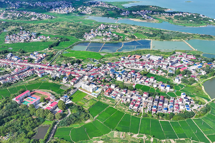 江西共青城市，廣袤的農村大地上一片綠意盎然，山清水秀，呈現出一派生機勃勃的景象。潘成攝