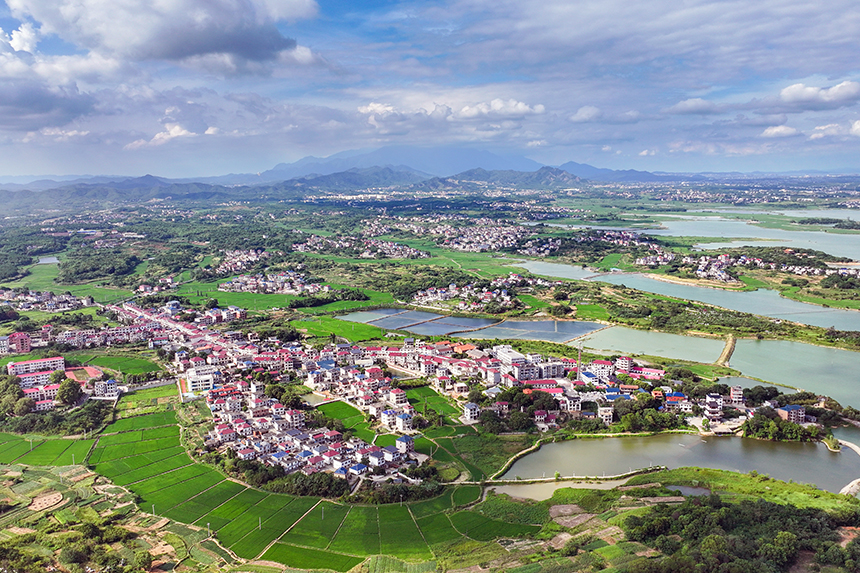 江西共青城市，廣袤的農村大地上一片綠意盎然，山清水秀，呈現出一派生機勃勃的景象。潘成攝