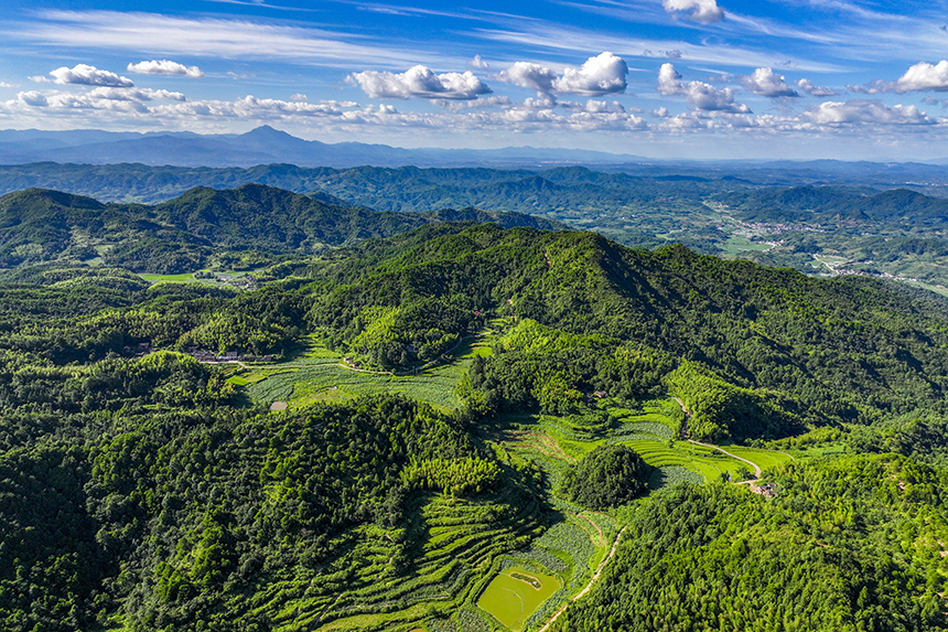 航拍鏡頭下的塘家山村，一派美麗的生態田園畫卷。謝東攝