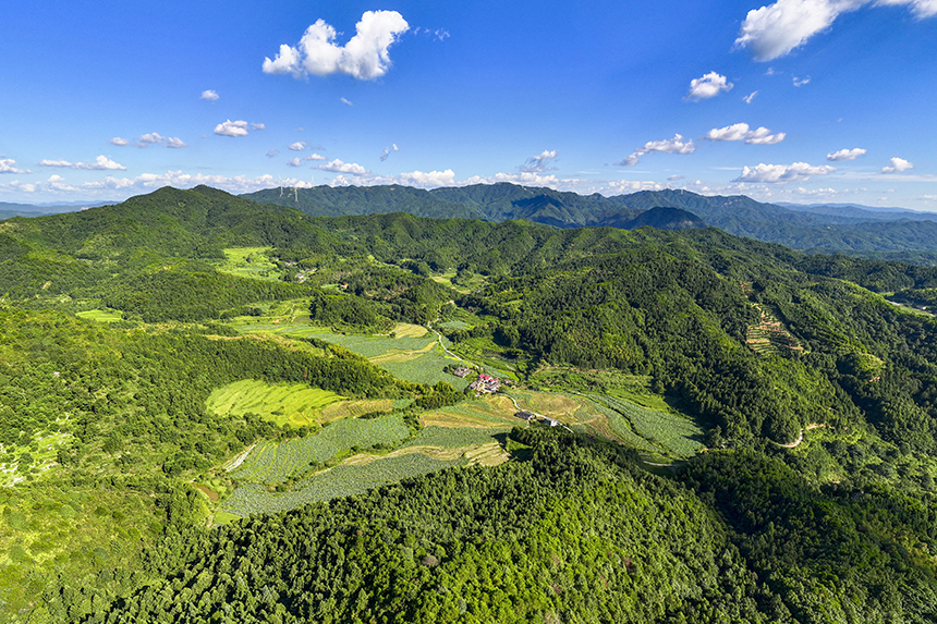 航拍鏡頭下的塘家山村，一派美麗的生態田園畫卷。謝東攝