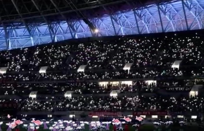 【視頻】非遺燈彩點亮“贛州鳥巢” 