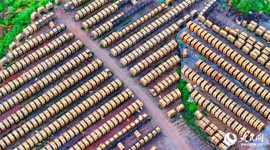 撫州市南豐縣琴江鎮的一處板材加工基地，村民利用晴好天氣的有利時機在晾曬板材半成品。人民網 朱海鵬攝