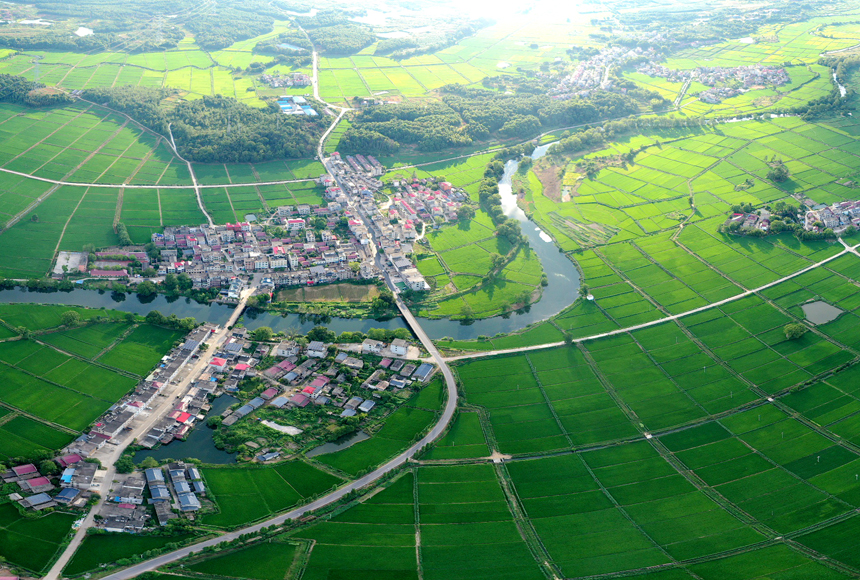 江西省宜春市上高縣泗溪鎮官橋村初秋美麗的田園風光。陳旗海攝