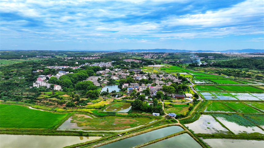江西省吉安市吉水縣金灘鎮燕坊古村秋色宜人，眾多徽派古宅錯落有致。廖敏攝