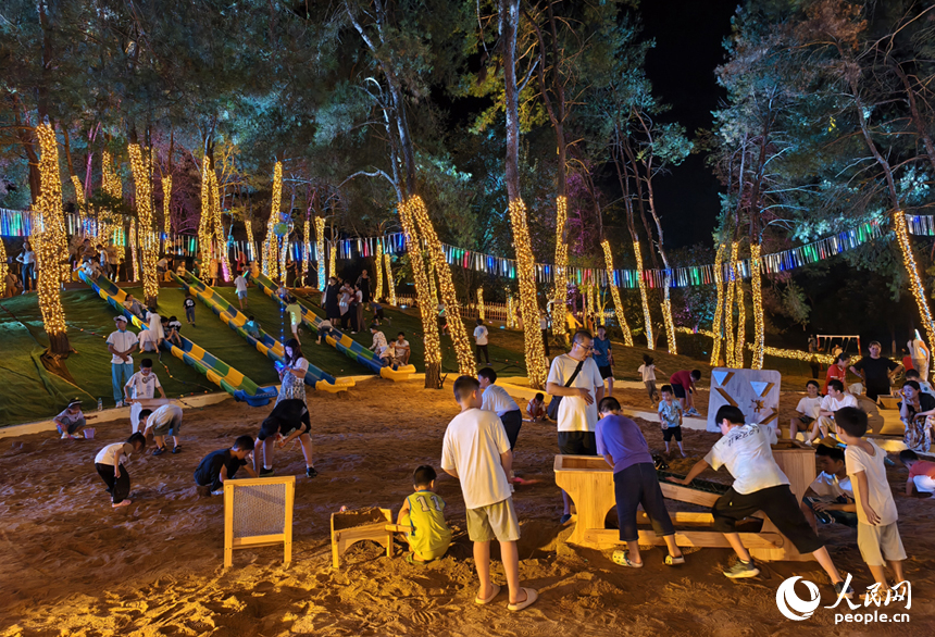夜晚的荷源公園燈光璀璨，孩童在林下的兒童樂園玩耍。人民網記者 時雨攝