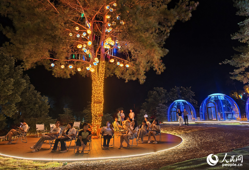 夜晚的荷源公園燈光璀璨，民眾在林下納涼。人民網記者 時雨攝