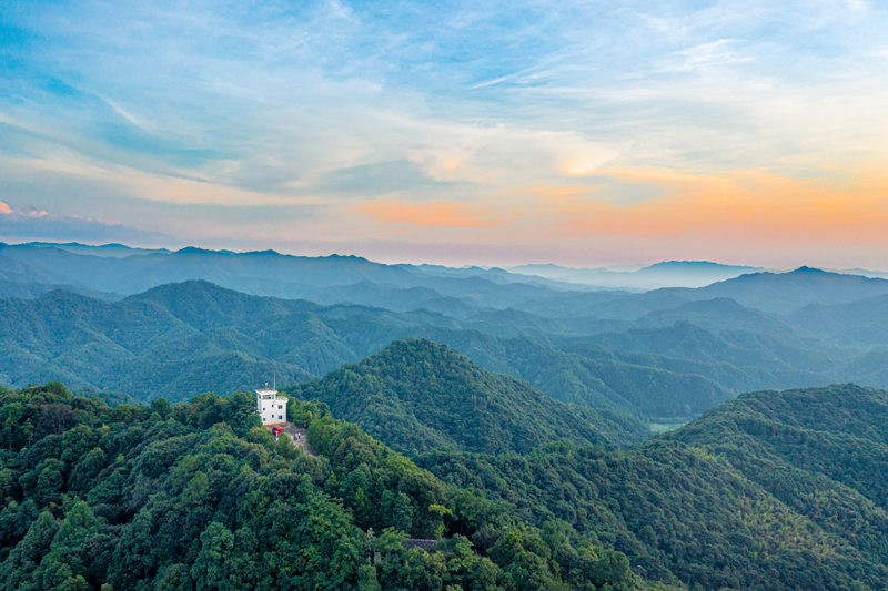 航拍金盆山林場，綠意盎然。邱國偉攝