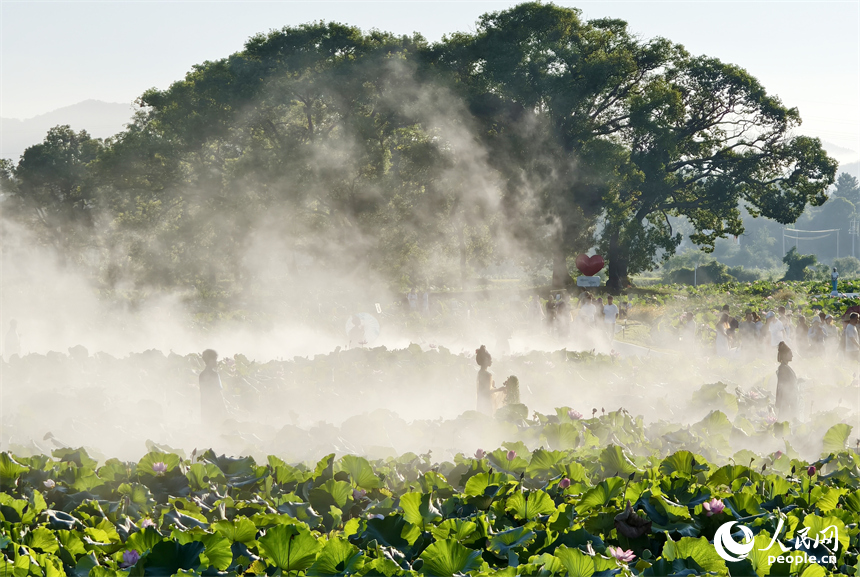 蓮池棧道設置了噴霧裝置，行走棧道宛若仙境。人民網記者 時雨攝