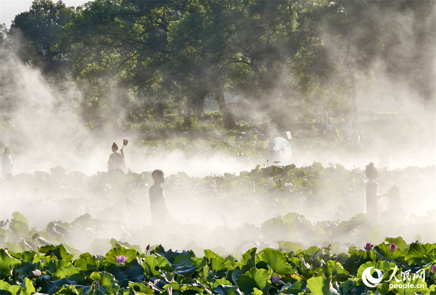 蓮池棧道設置了噴霧裝置，行走棧道宛若仙境。人民網記者 時雨攝