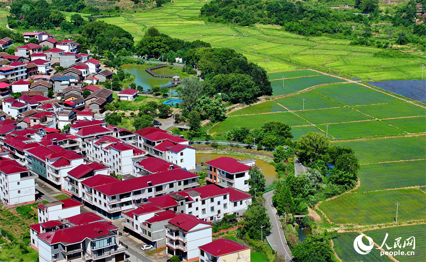 撫州市南豐縣萊溪鄉九聯村，白墻紅瓦的民居與綠色田園相互映襯，構成一幅宜居宜業和美鄉村畫卷。人民網 朱海鵬攝